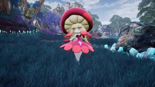 Mycora